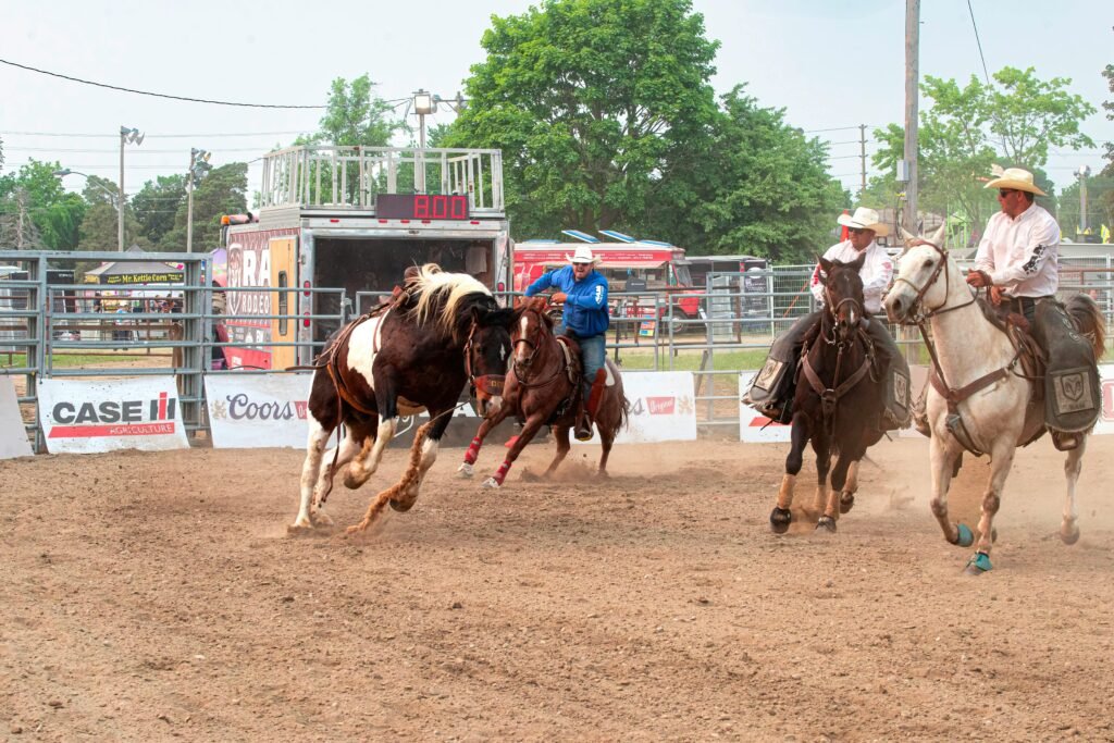 Rodeo Competition with Cowboys and Horses in Action